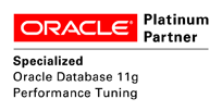 O_SpecPlat_OracleDB11g_PerfTuning_clr